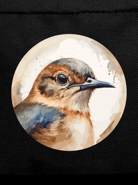 Wren bird