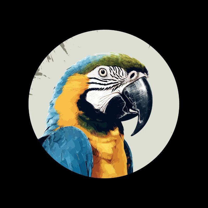 Blau-Gold Ara