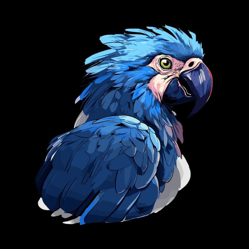 Hyacinth Macaw