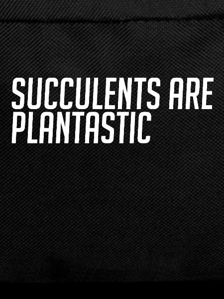 Succulents are fantastic