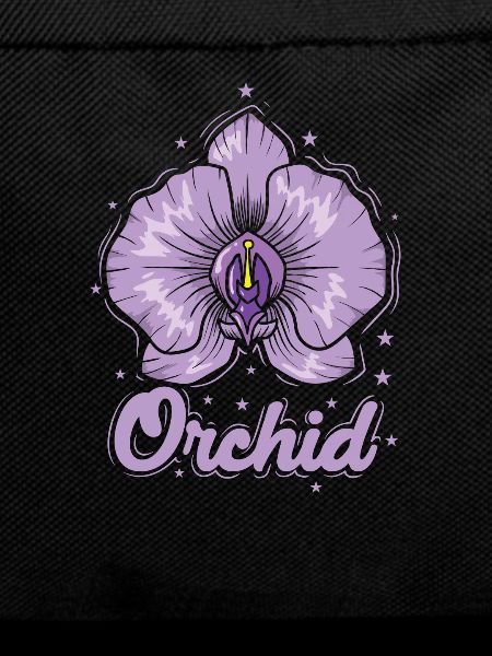 Orchid Nature Plant Flower