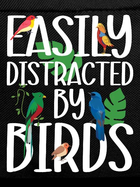 Easily Distracted by Birds