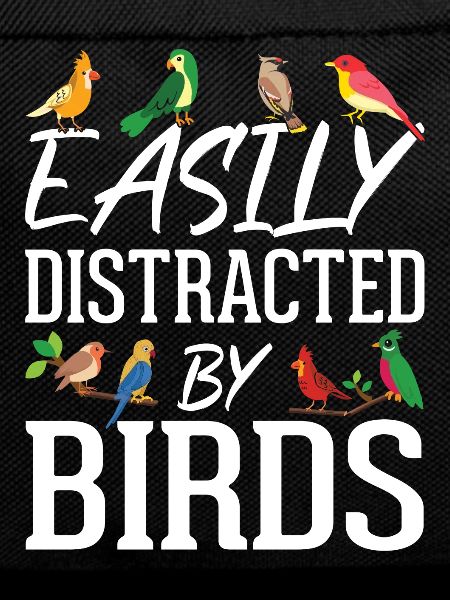Easily Distracted by Birds