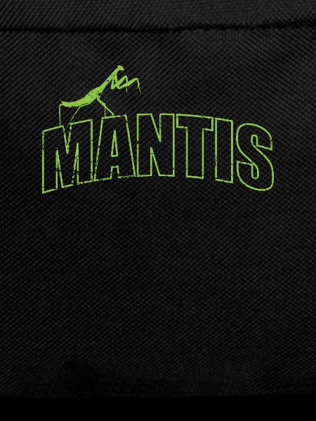 Mantis insect on the script
