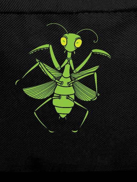 Insect Praying Mantis