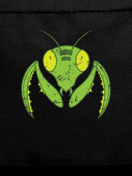 Praying mantis flying nature