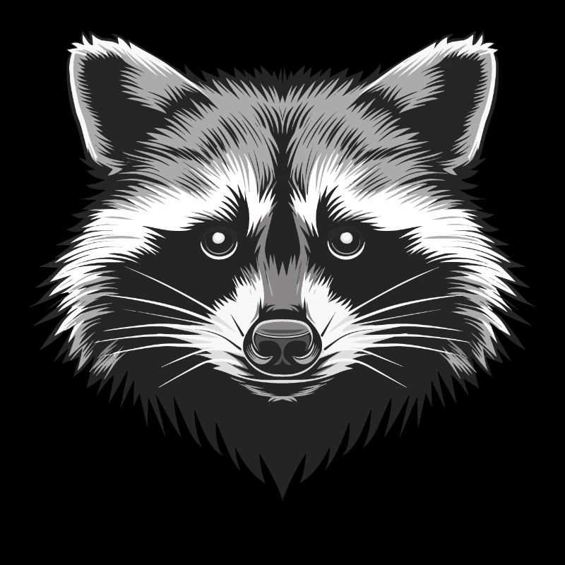 Raccoon