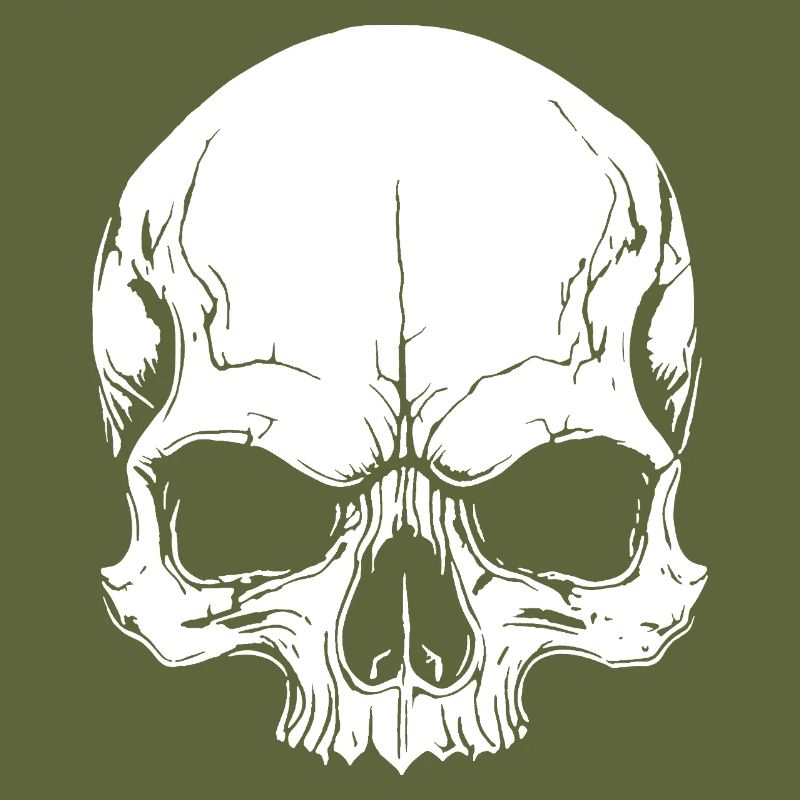 Cool skull design