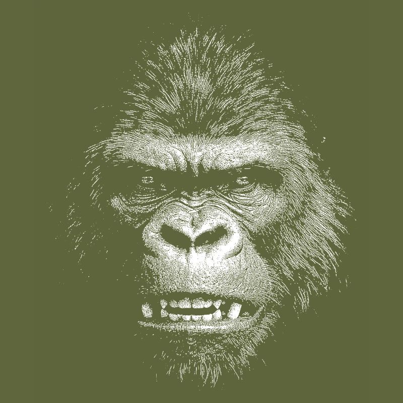 Gorilla