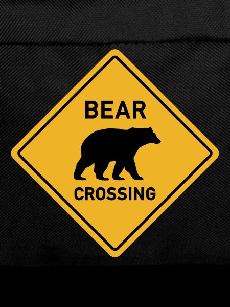 bear crossing