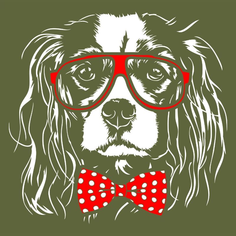 CAVALIER KING CHARLES SPANIEL Junge Wilsigns Hunde