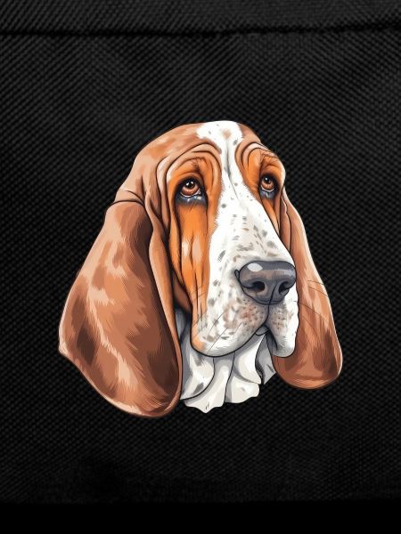 Basset Hound