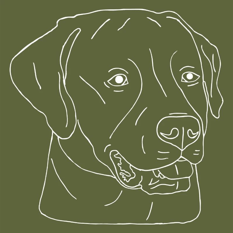 Labrador