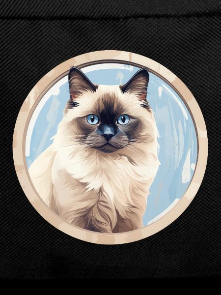 Burmese Cat