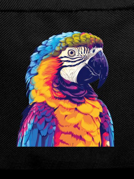 Parrot, bird, tropical, summer, gift