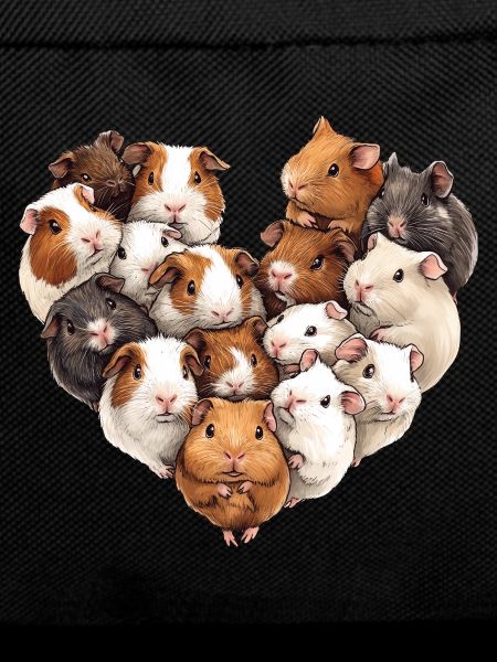 Guinea pig