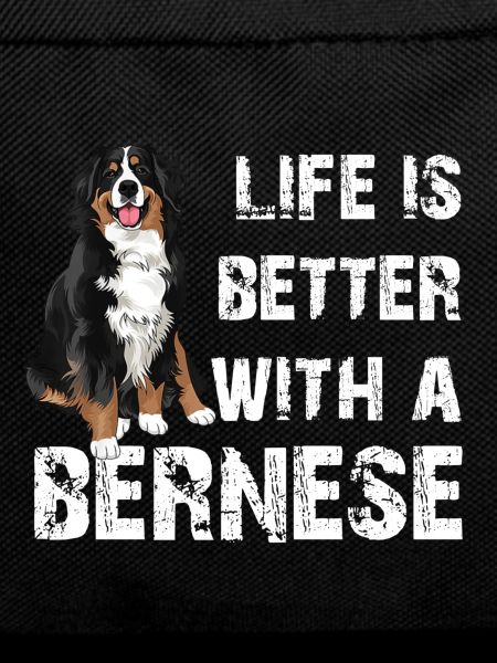 Bernese Mountain Dog