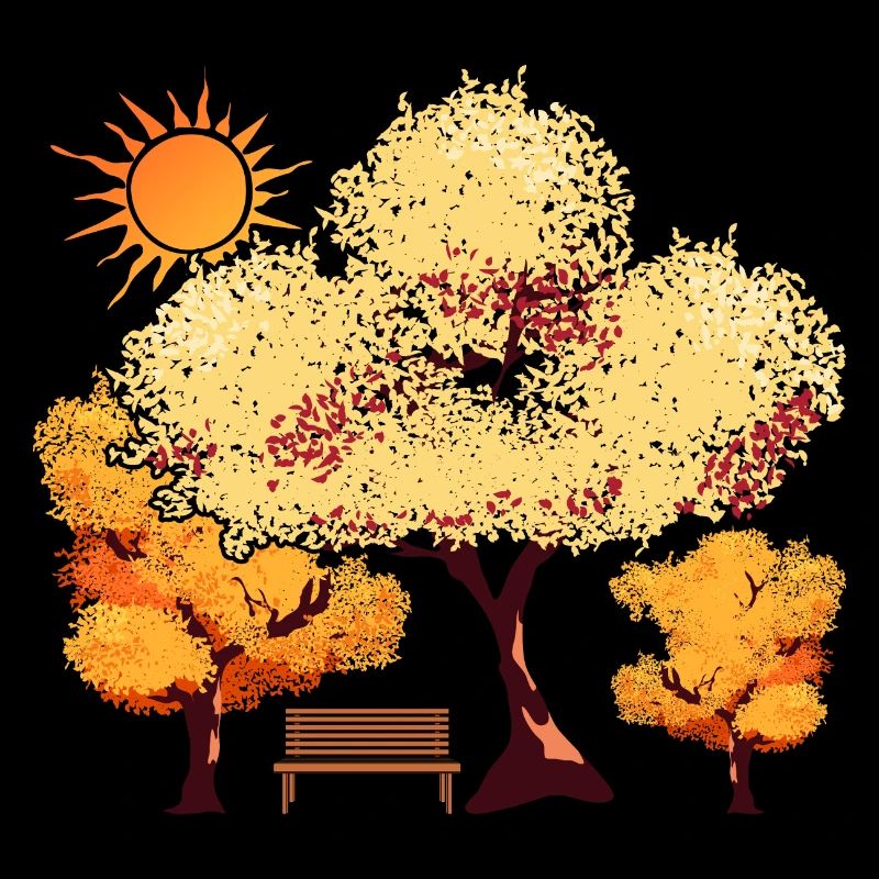 Soleil Nature Arbre Forêt Feuillage Cadeau Automne