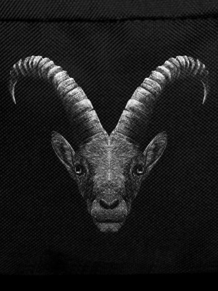 Steinbock