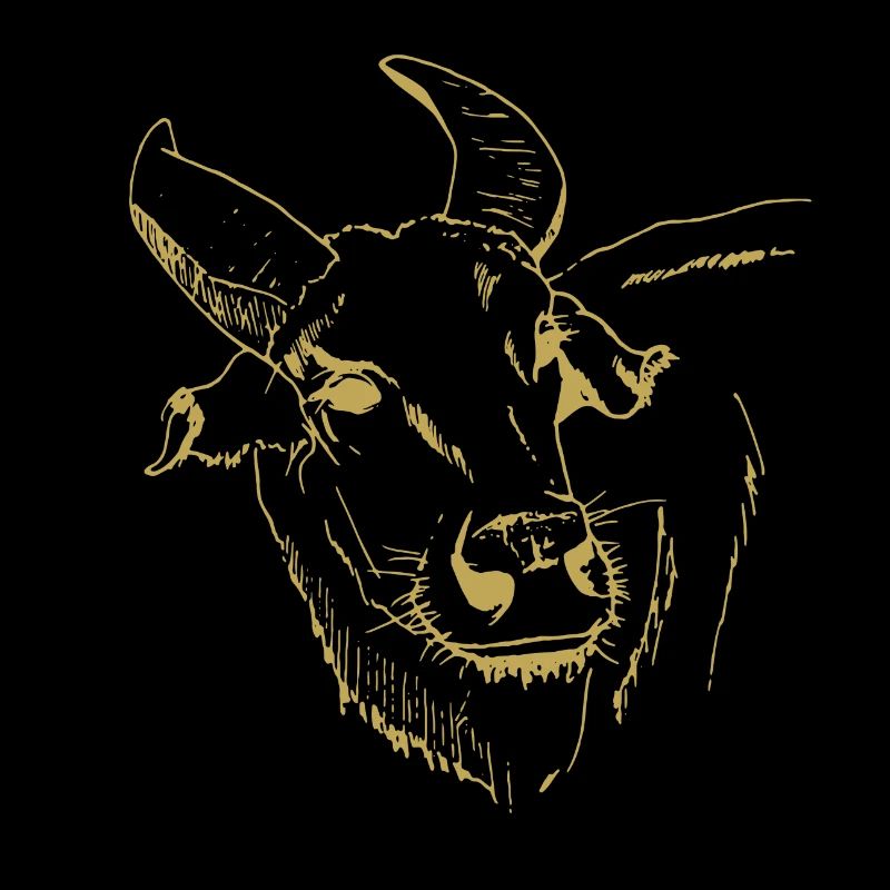 Illustrated designs with ox