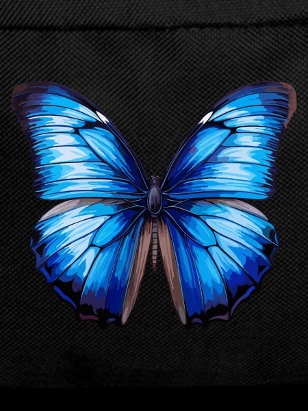 Blue Morpho Butterfly