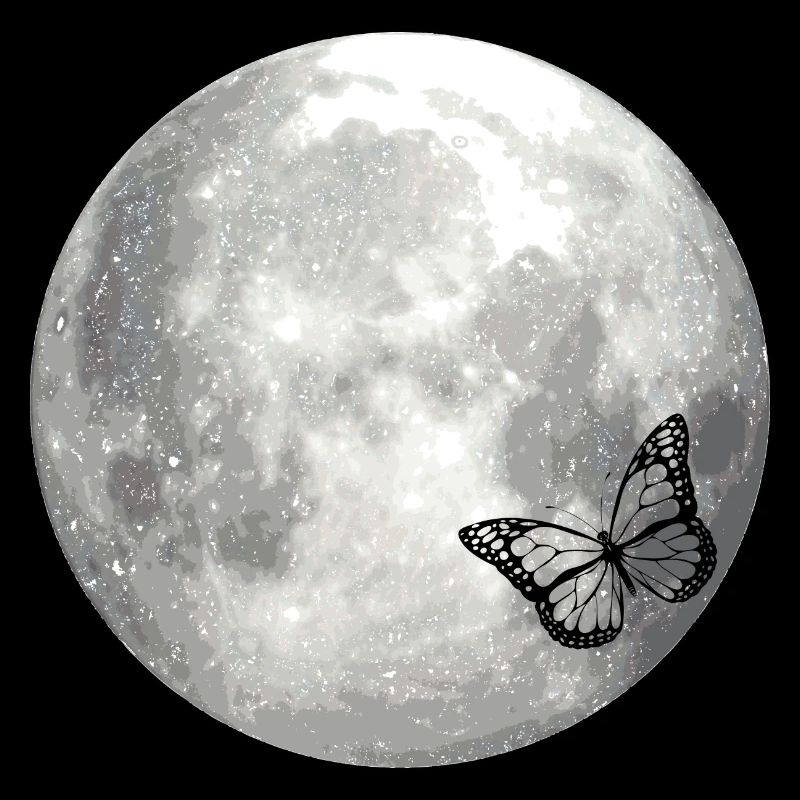 full moon butterfly Vollmond