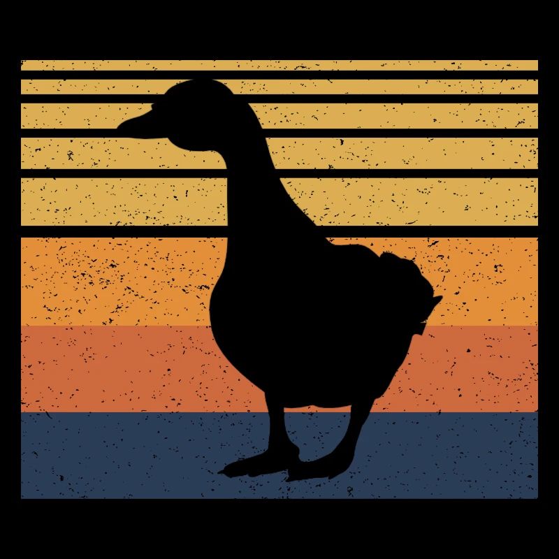Canard