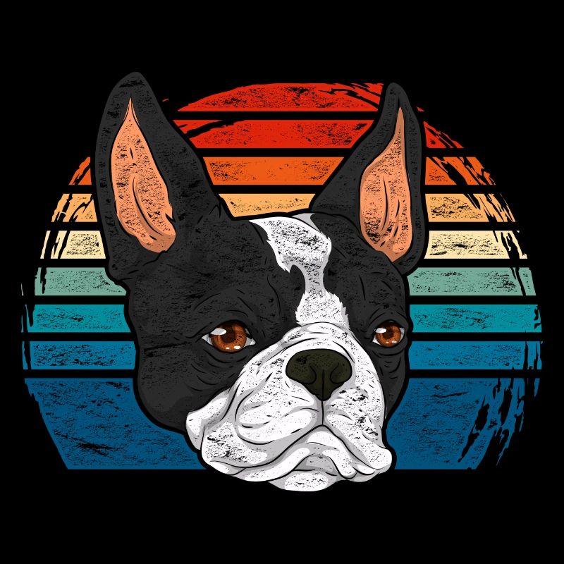 Hunde Bostie Geschenk Retro Boston Terrier