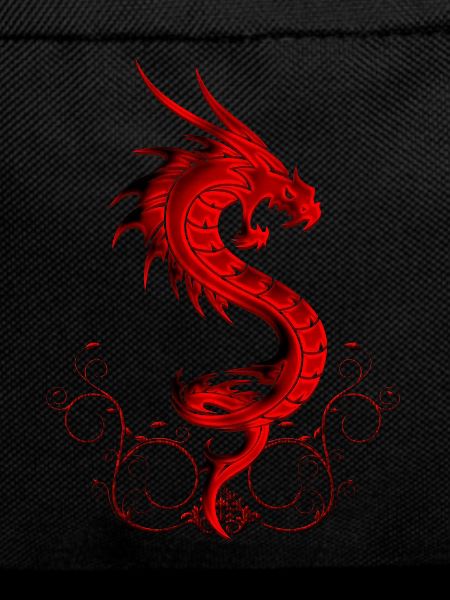 wonderful red chinese dragon