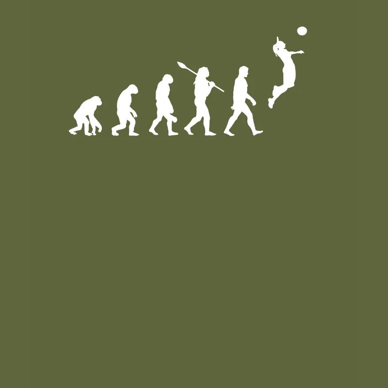 Volleyball Evolution