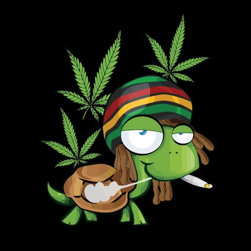 cool funny weeping turtle