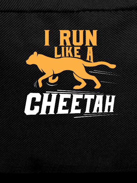 cheetah