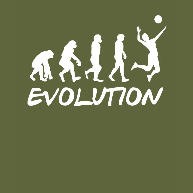 Volleyball Evolution