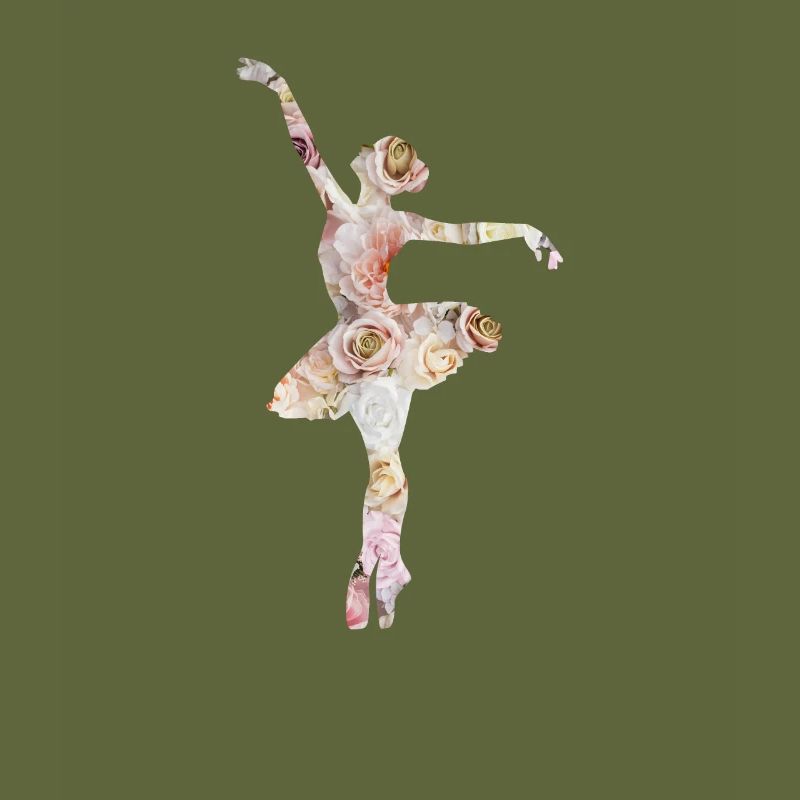 Ballet dance dancer ballerina ballet dancer