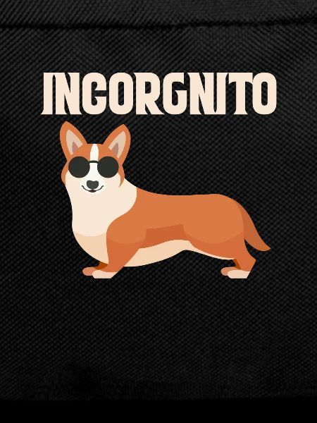 Corgi