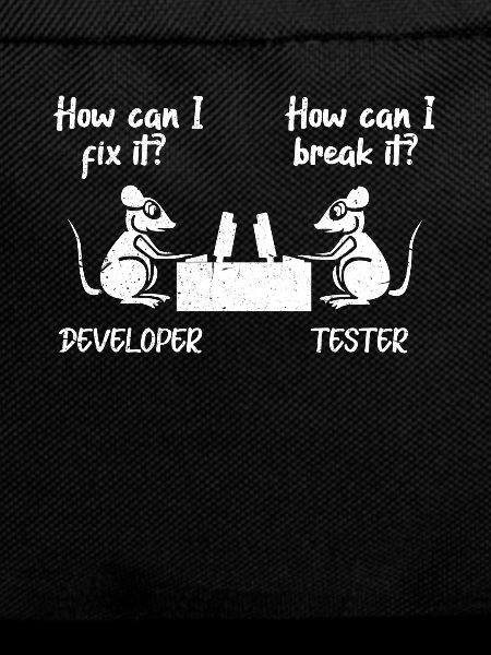 software developer