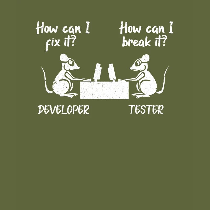 Softwareentwickler