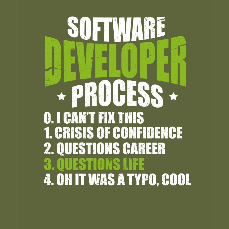 Software developer programmer software