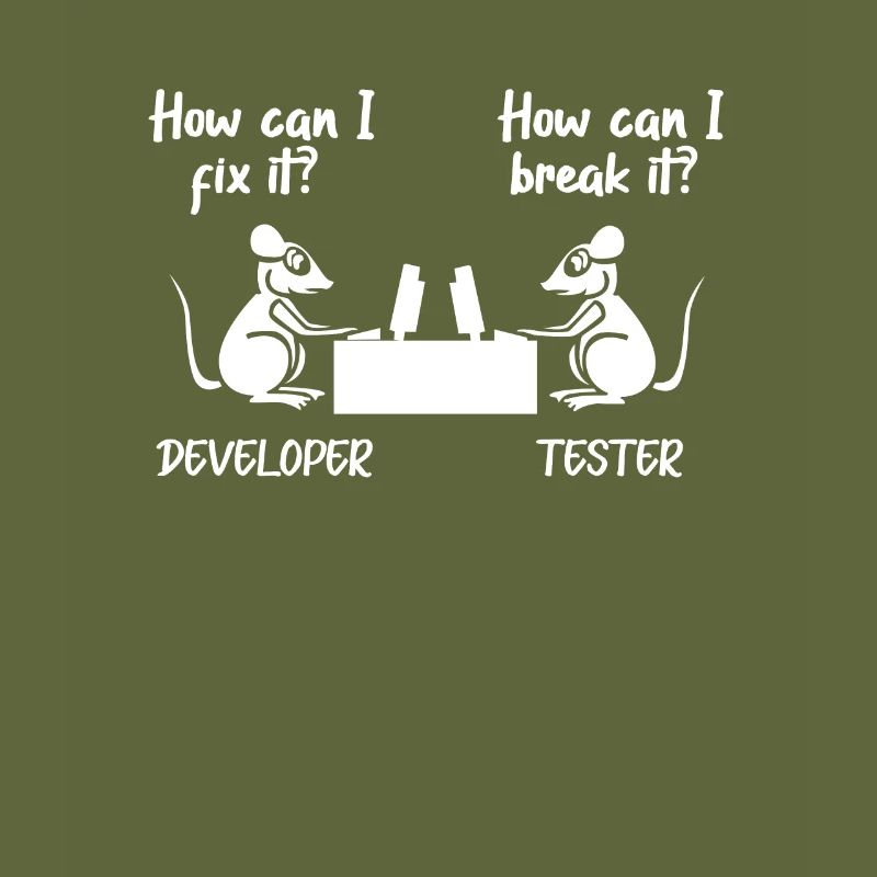 Software developer programmer software