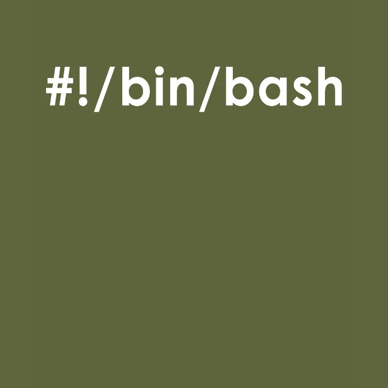 Programmeur Admin Devops Linux Bash