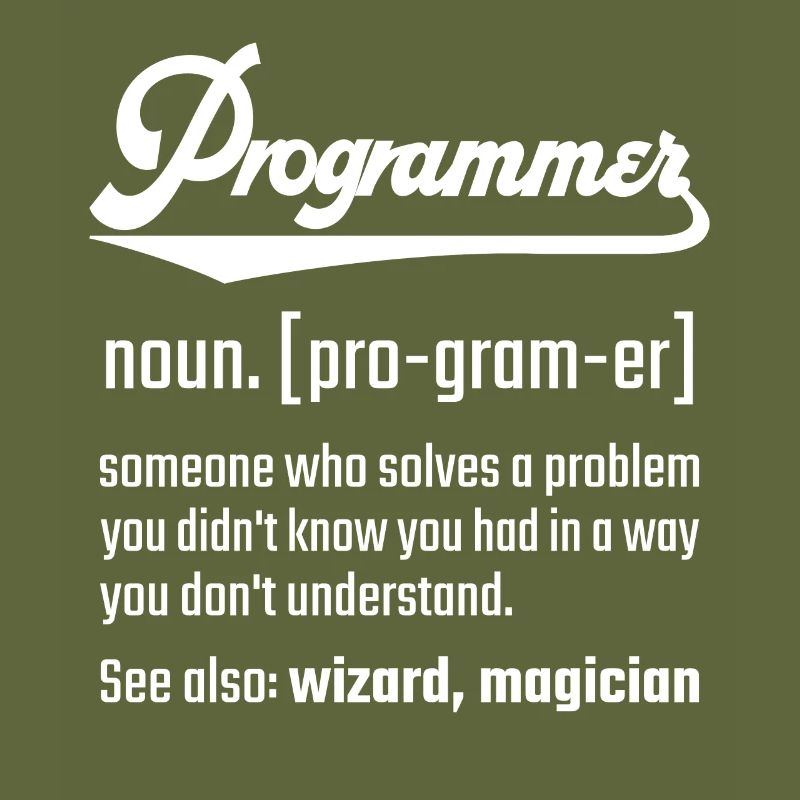 Programmer programmer noun noun definition