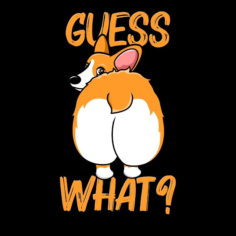 Corgi Hunde Hundefreund