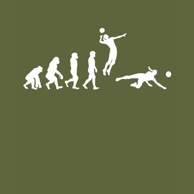 Volleyball Evolution