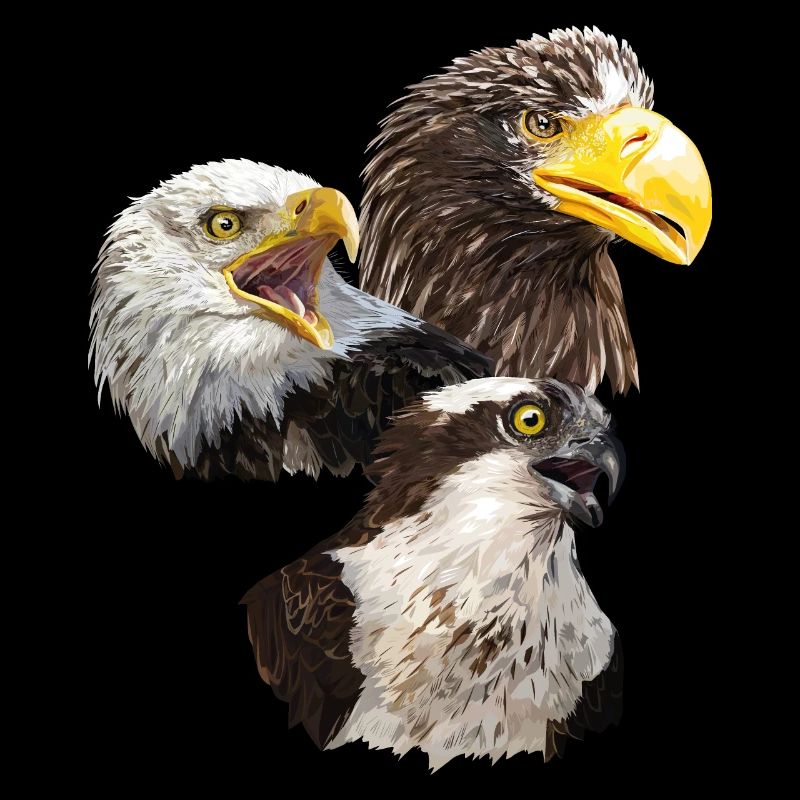 Oiseaux de proie