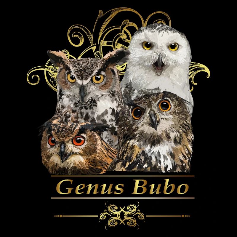 hiboux
