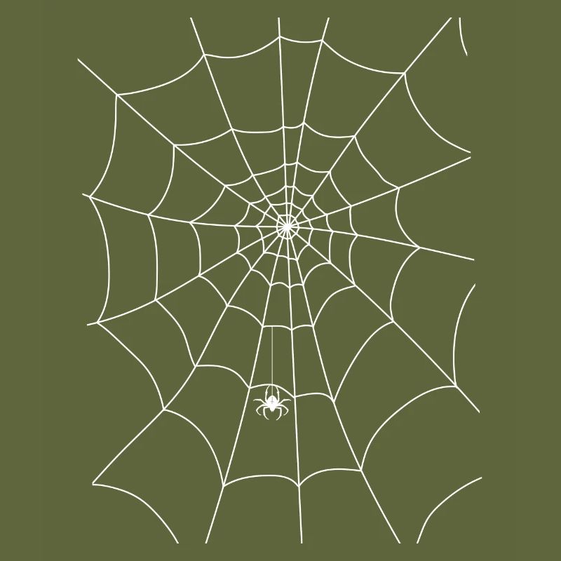 Spider web, spider, spider in the web