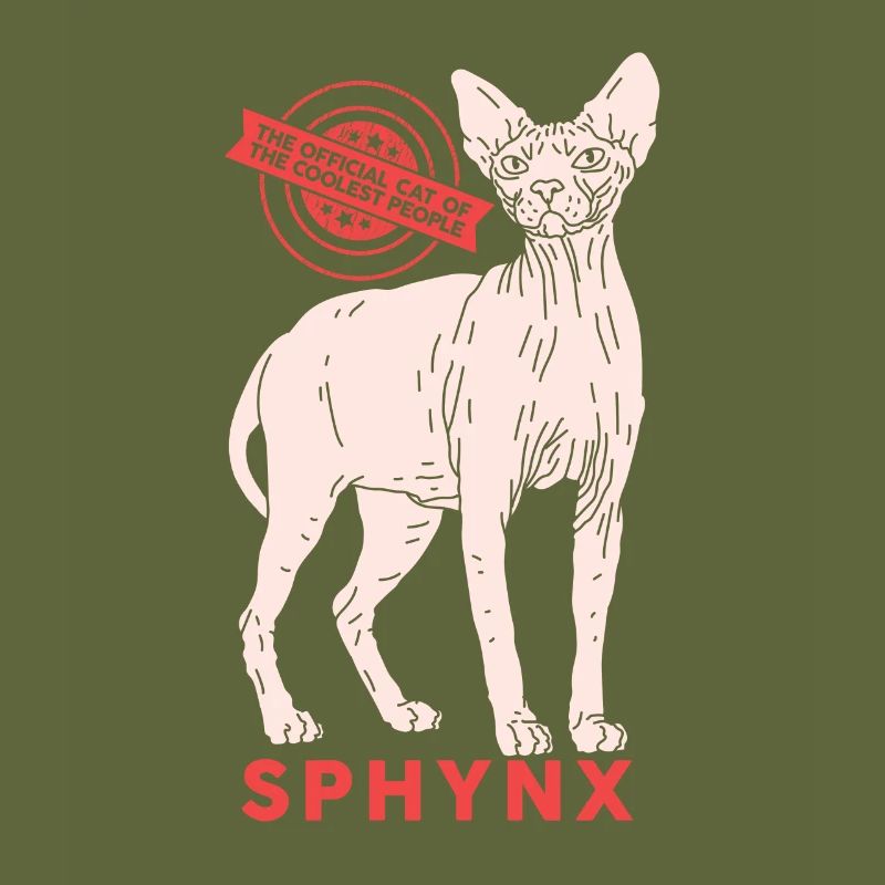 Sphynx chat sphinx cadeau de chat