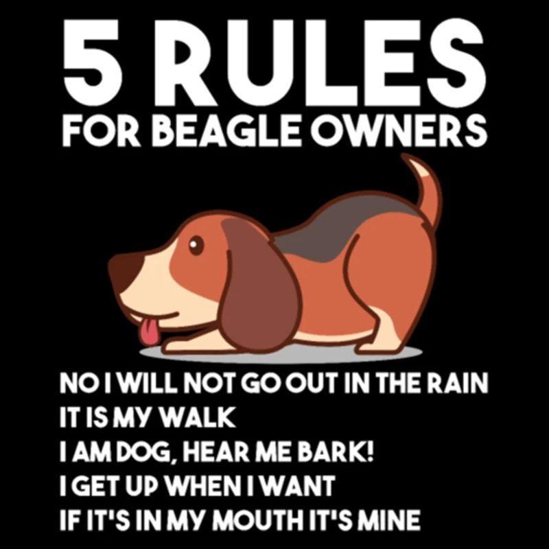 5 Rules For Beagle Owners T Shirt