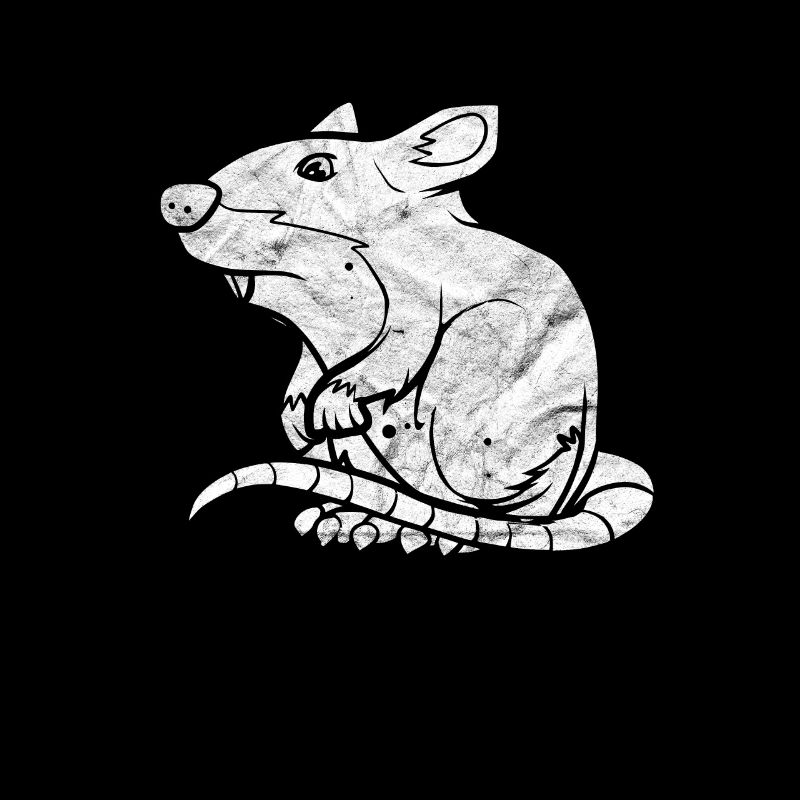 Rat