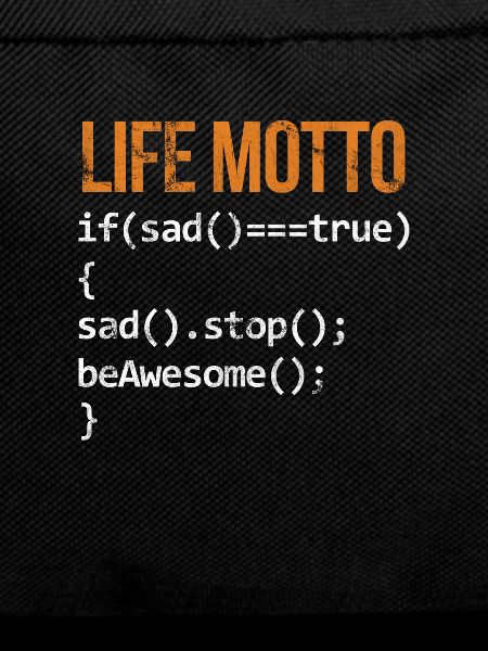 Software developer